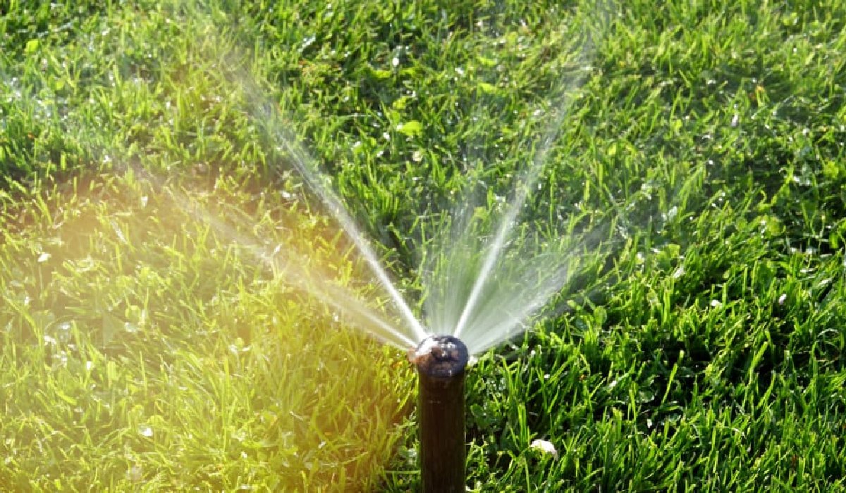 Smart Irrigation: How to Cut Your Water Bill by 30% Without Killing ...