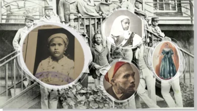 History or the Public Eye