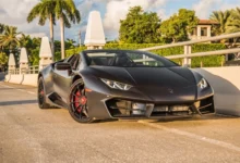 Exotic Cars