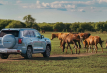 Vehicle Buying Guide in Bahrain