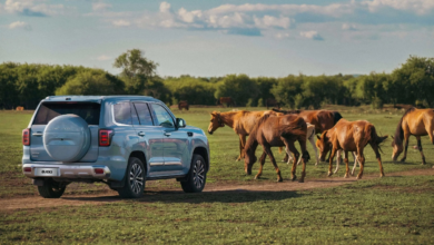 Vehicle Buying Guide in Bahrain